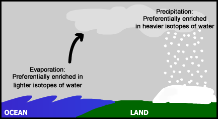 water cycle showing preferential evaporation and precipitation based on isotopic makeup. Labels read 'evaporation: Lighter isotopes evaporate more readily' and 'precipitation: heavier isotopes condense more readily'